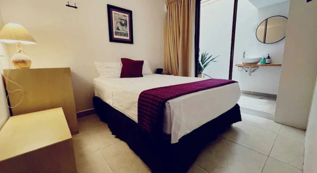 Номер Deluxe La Cochinilla Hotel Boutique