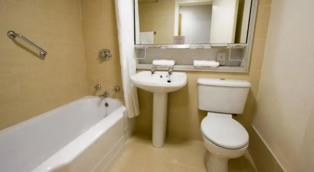 Двухместный номер Standard Blooms Hotel