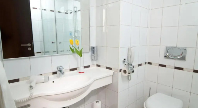 Двухместный номер Business Hotel Rapsodia City Center