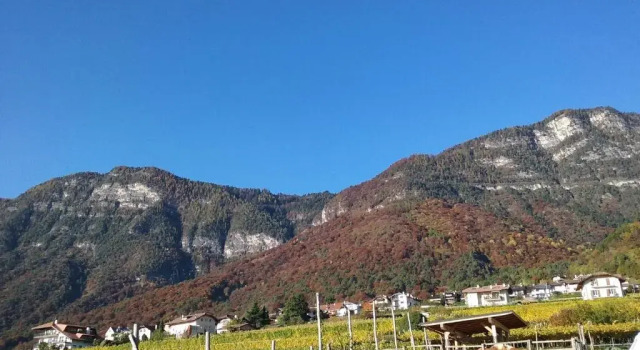 Апартаменты с видом на горы Wiesmüllerhof