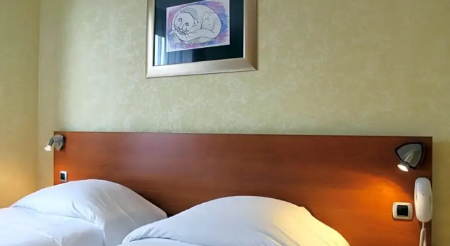 Номер Standard In Situ Hotel