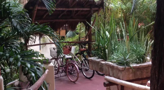 Апартаменты One Bedroom Apt In The Heart Of Playa Only One Block to the Beach!