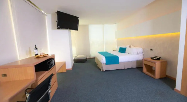 Двухместный номер Executive Hotel Enjoy San Antonio