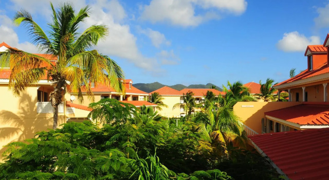 Flamboyant - Le Village