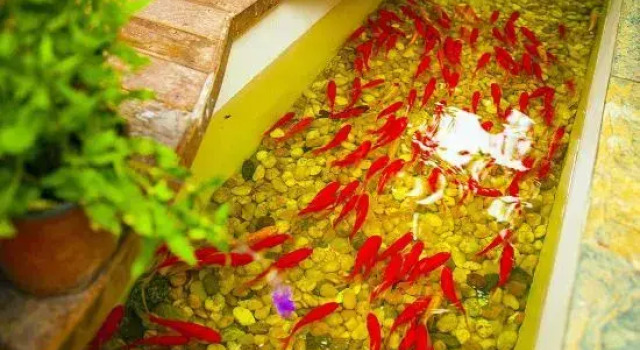 Hangzhou West Lake Yuanjin Inn, Забронировать Отель Сиху Ханчжоу, рядом с Hangzhou Underwater World