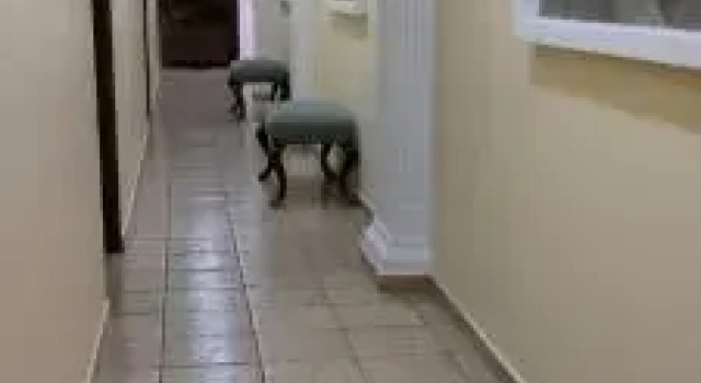 Hotel El Cortes