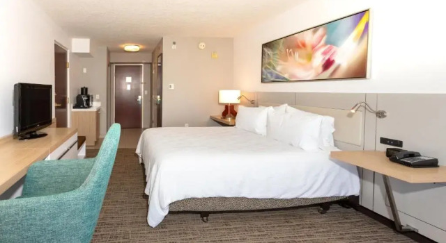 Номер Standard Hilton Garden Inn Daytona Beach Airport