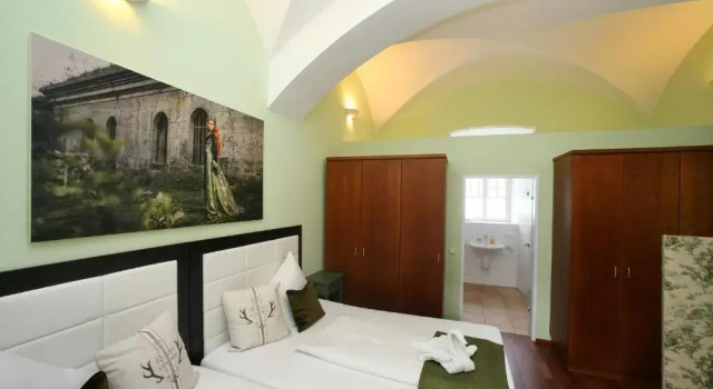Апартаменты Цокольный этаж Schlossresidenz Fischhorn