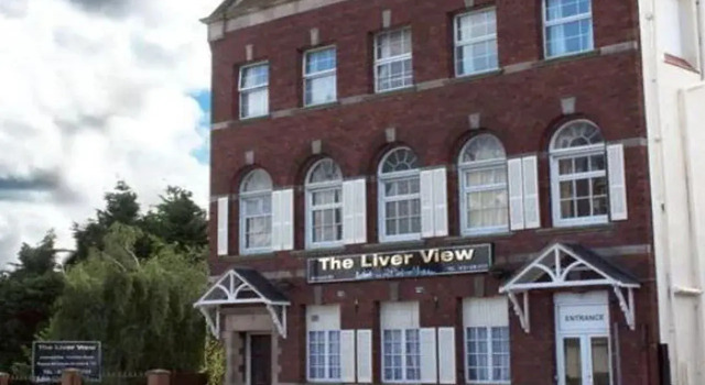 The Liver View