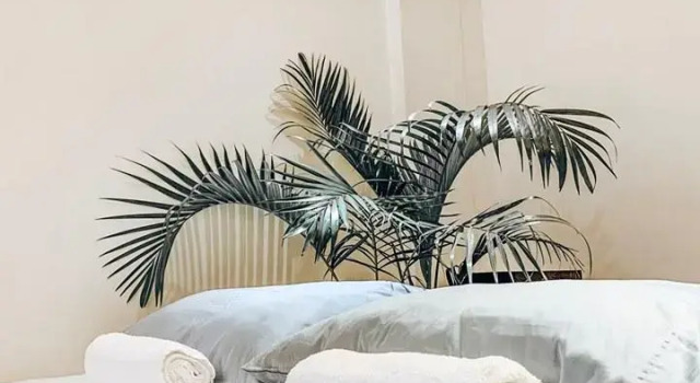 Paradiso Hostel