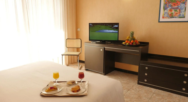 Hotel Panorama