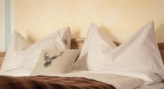 Двухместный номер Standard с балконом и с видом на горы Albergo Centrale