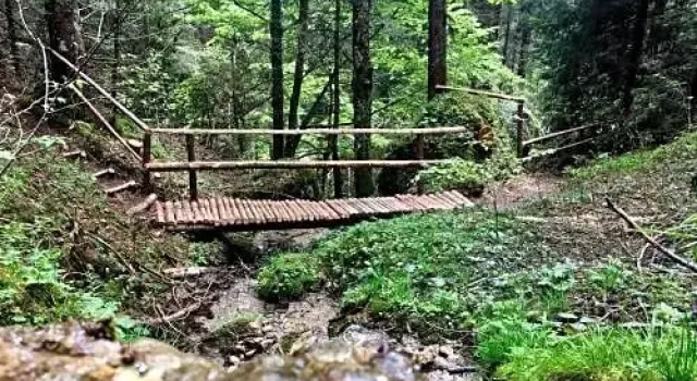 Номер Standard Torgheles Wald & Fluh