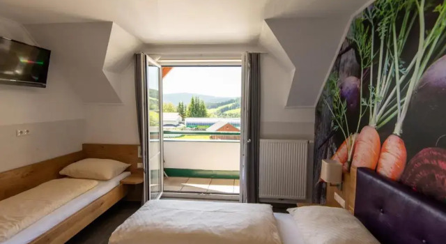 Номер Standard Genussgasthof Willenshofer