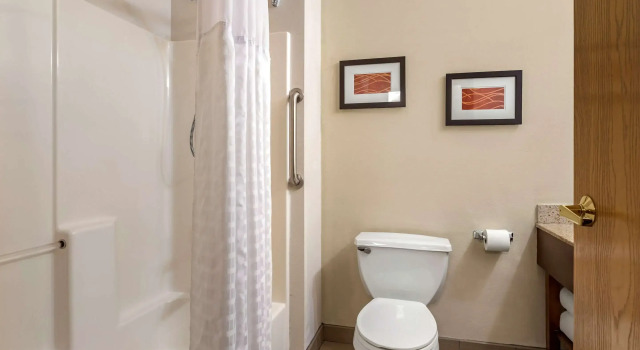 Двухместный люкс Business Comfort Inn & Suites Paw Paw