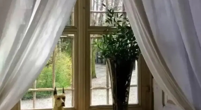 Tenuta il Palazzasso