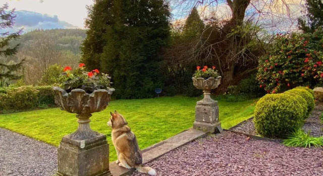 Коттедж с 6 комнатами Tyn Y Fron 6 bedroom house in Betws-y-Coed Snowdonia