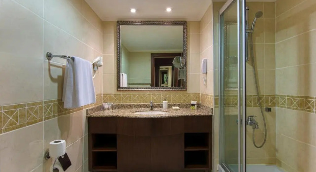 Двухместный номер Standard с частичным видом на море Delphin Palace Hotel