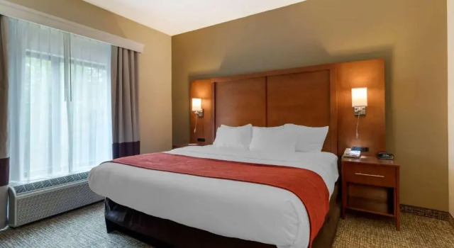 Люкс Comfort Suites Kingsport South