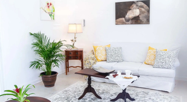 Cattleya's New Kingston Guest Apartment, Prenota Appartamento Kingston Giamaica