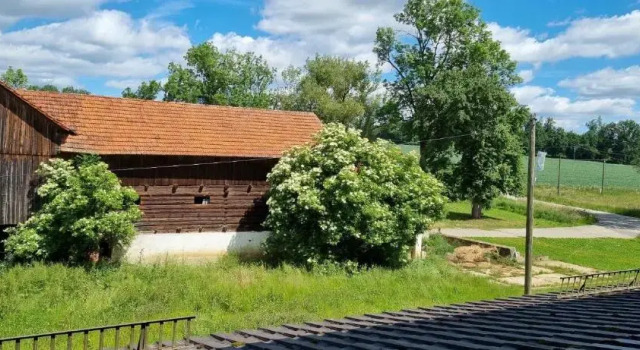 Одноместный номер Superior Land-gut-Hotel Gasthof Waldschänke