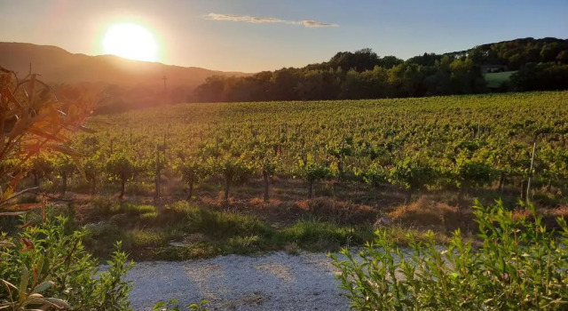 Agriturismo Borgo Montecucco, Book Hotel Todi Umbrien
