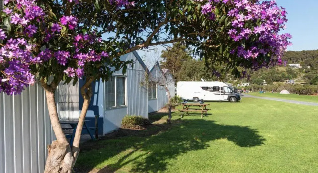 Бунгало Waitangi Holiday Park