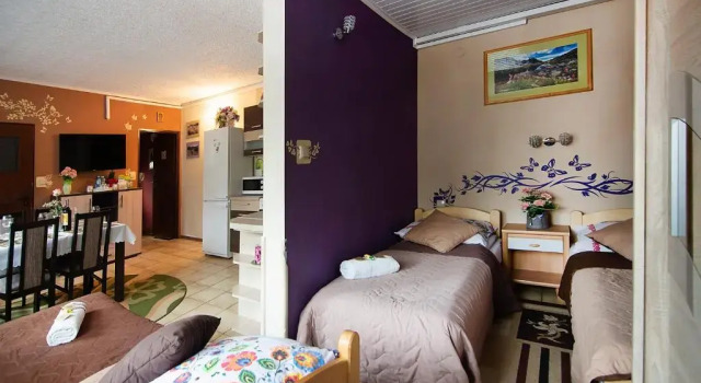 Апартаменты Deluxe Apartamenty w Centrum - Zakopane