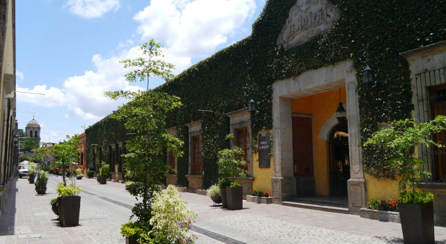 Hotel Solar de las Animas, Book Hotel Businesshoteller i Jalisco, 4* 5*