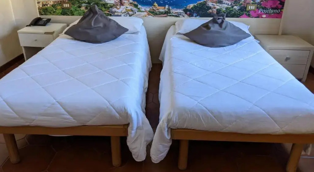 Трёхместный номер Standard Hotel Montecarlo