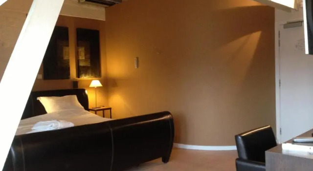 Двухместный номер Deluxe Hotel Orion