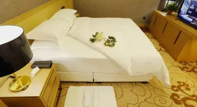 Люкс Business Zijing International Hotel