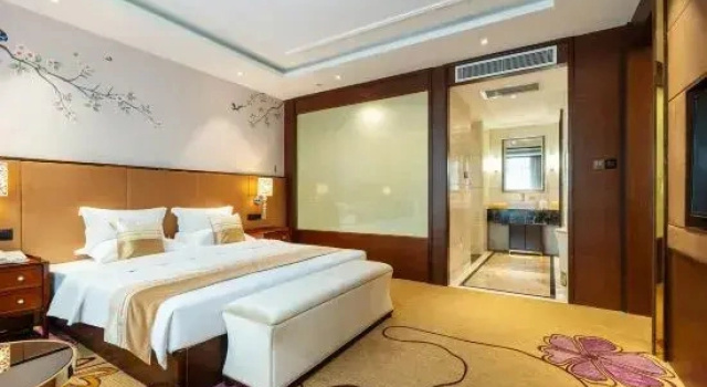 Suite doppia Presidenziale Hampton Hotel