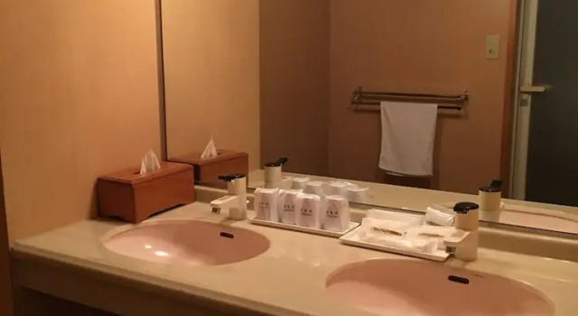 Номер Standard с балконом и с видом на город Ibusuki Seaside Hotel