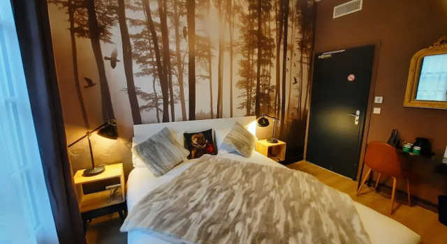 Двухместный номер Economy Hotel Du Cygne Tours