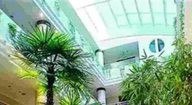Xinchang Baiyun Hotel - Shaoxing