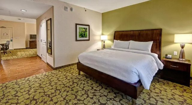 Двухместный люкс c 1 комнатой Hilton Garden Inn Nashville Downtown Convention Center