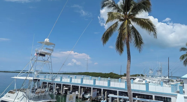 Номер Standard Пентхаус Bud N' Mary's Fishing Marina