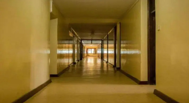 Meru Safari Hotel