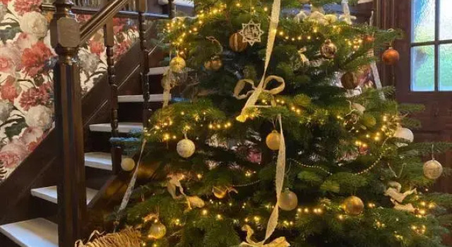 Tree & B, Забронировать Отель Ассебрук Брюгге