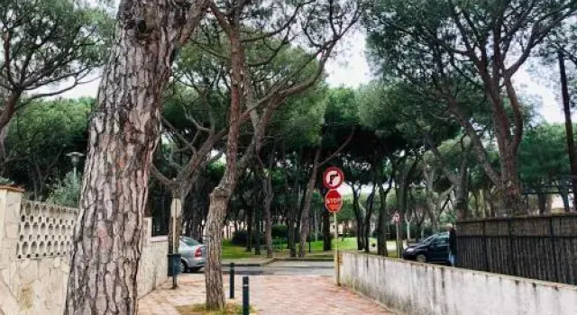 Soleil Mar Apartments 6, Book Lejlighed Castell-Platja d'Aro Girona