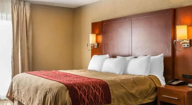 Номер Standard Comfort Inn Savannah Midtown
