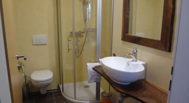 Апартаменты Premier с 2 комнатами Schlossalm Appartement
