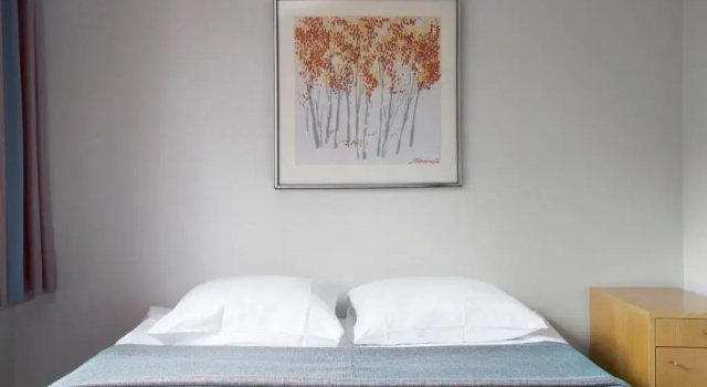 Двухместный номер Standard Hostel Linnasmäki