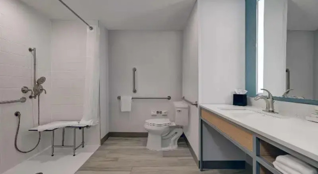 Шестиместный номер Standard Hilton Garden Inn Manassas