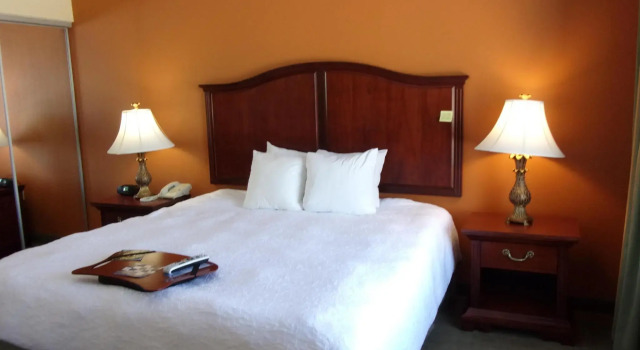 Номер Standard Hampton Inn & Suites Bolingbrook