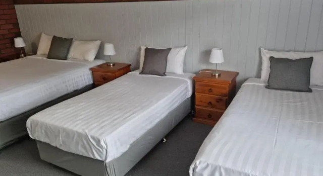 Семейный номер Deluxe Mid City Plantation Motel
