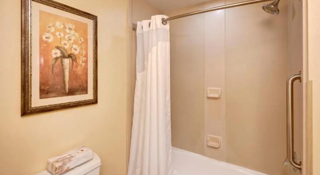 Люкс Holiday Inn Express - Downtown San Diego by IHG