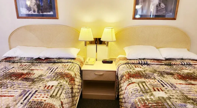Standard Doppel Zimmer Keller Gray Wolf Lodge