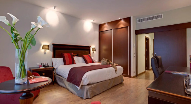 Двухместный номер Business Hotel Crowne Plaza Madrid Airport